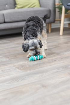 Trixie Denta Fun Knochen Hundespielzeug